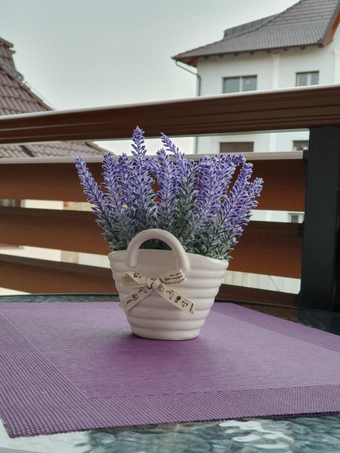 Zlatibor Hills Lara Lejlighedshotel Eksteriør billede